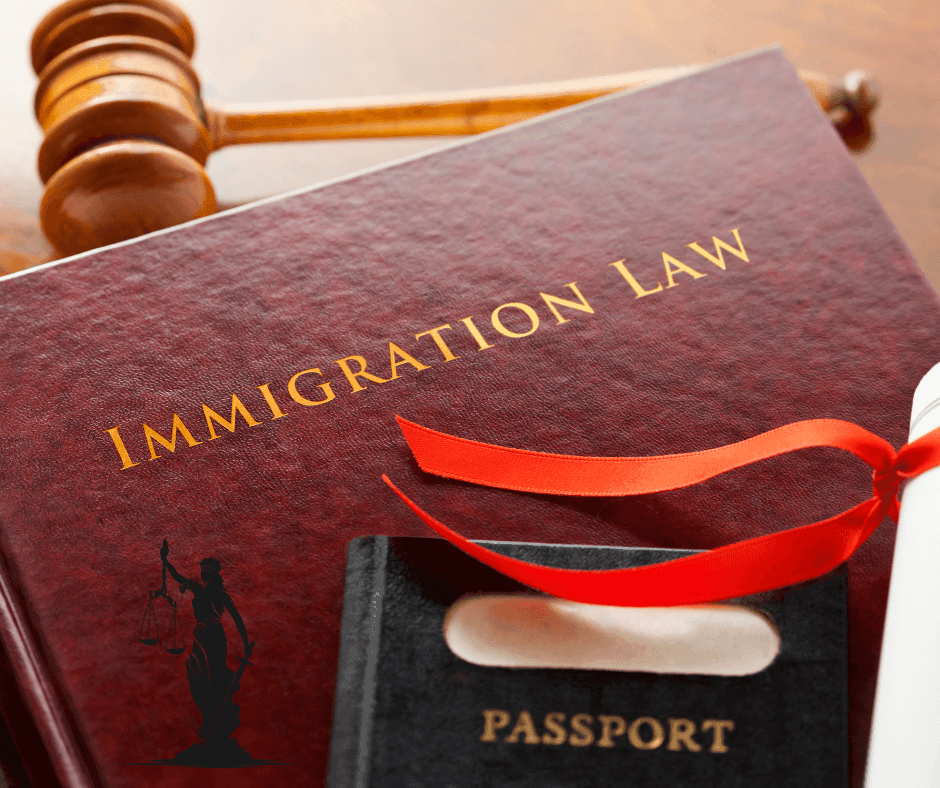 IMMIGRATION ASSISTANCE